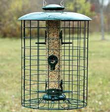 So, let's find out the 10 best anti squirrel bird feeder which provides you the best birding experience by minimizing your problem. 7 Best Bird Feeders For Small Birds In My Backyard 2021 Bird Watching Hq