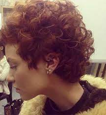19 Curly Short Hairstyle Jpg 500 542 Hair Styles Short Hair Pictures Curly Hair Styles