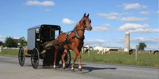 Check spelling or type a new query. How To Plan Your Amish Country Experience Bird In Hand