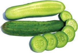 Image result for Cucumis