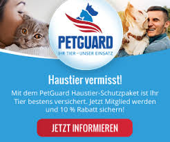 Schon mal passiert, dass deine katze vermisst wurde? K 9 Suchhunde Hohenlohe Ostalb Tier Vermisst Tier Entlaufen K 9 Suchhunde Hohenlohe Ostalb