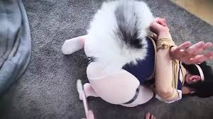 Free Cat Porn Videos | xHamster