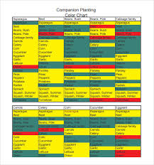 Free 9 Sample Companion Planting Charts In Pdf Word