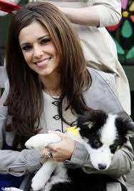 After all, celebrities seem to set the tone for whatever is hot and trendy. Cheryl Cole Border Collie Cheryl Cole Celebrities