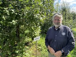 A late May frost caused some NY farms to lose most of their apples