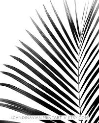 Black And White Photo Art Prints Palm Leaf Leaf Print Botanical Print Black And White Palm Tropical Art Palm Leaf Art Summer Print Boho Wall Art Tropical Print Black Black White Art Black And White Posters White
