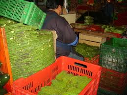 Many mothers ask me if there a list of foods to avoid while breastfeeding? How To Harvest Prepare And Eat Prickly Pear Cactus Delishably