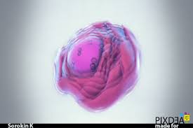 Check spelling or type a new query. Artstation Cells And Organelles Kirill Sorokin