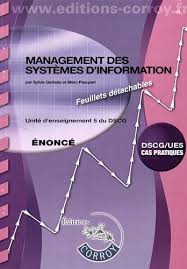 Amazon Fr Management Des Systemes D Information Ue 5 Du Dscg Enonce Sylvie Gerbaix Marc Pasquet Livres Enseignement Telechargement Publicite Internet