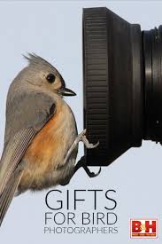 Gifts For Bird Photographers Bird Photography Bird Photographer