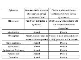 Maybe you would like to learn more about one of these? Structure And Organization Of Eukaryotic Cell Plasma Membrane