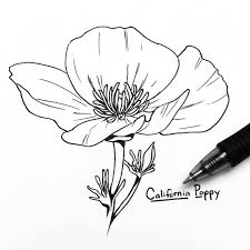 Resultats De Recherche D Images Pour California Poppy Line Drawing Flower Line Drawings Poppy Drawing Flower Drawing