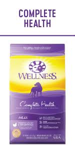 Also worth mentioning is that the recipe is balanced and dense in nutrition. Wellness Complete Health Natural Wet Canned Puppy Food Puppy Chicken Salmon 12 5 Ounce Can Pack Of 12 Canned Wet Pet Food Pet Supplies Amazon Com