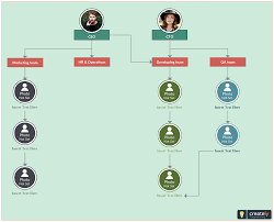 Small Business Organization Structure Chart For A Small Company Should Be Comp Business Organizational Structure Small Business Organization Organization Chart