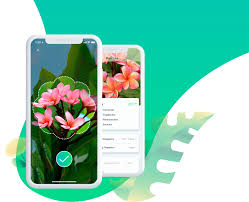 All you have to do is upload a photo of the unknown plant, and other users on the app can help you work it out. Plant Identification App Plantspot