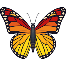 We did not find results for: Emoji Butterfly To Copy Paste Wprock