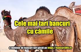 Atunci camila cate cocoase are? Bancuri Cu Animale
