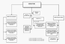 Publicat pe 6 iunie 2014 de administrator. Document Embed