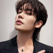 𝙇𝙞𝙣 𝙔𝙖𝙣𝙟𝙪𝙣 𝙇𝙖𝙩𝙞𝙣𝙤𝙖𝙢𝙚𝙧𝙞𝙘𝙖