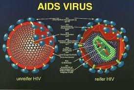 Pin On Hiv Aids Awareness