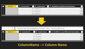 Sometime, we need to display string data in proper case, i.e. Split Camelcase Headers In M And A Fix For The Record Of Promises Datachant