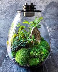 Pin On Small Space City Gardening