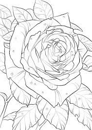 Ausmalbild Oklahoma Rose Kategorien Rosen Kostenlose Ausmalbilder In Einer Vielzahl Von Themenbereichen Zum Ausdr Ausmalbilder Ausmalen Malvorlagen Blumen