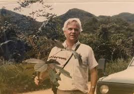 Image result for Astropanax polysciadius