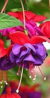 Pin On Oh So Pretty