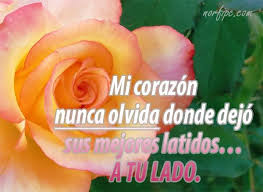 Frases Para Un Amor Oculto A Escondidas Que No Puedo Tener Amor Pensamientos De Amor Frases
