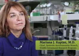 Systemic Autoimmunity Branch