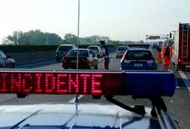 Bologna, auto investe un capriolo sull'a14: Incidente A14 Bologna Un Auto Investe Un Capriolo Un Morto