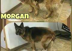 Animal hospitals offer general and emergency pet care services. Paw Spa 321 Walnut St A Monticello Mn 55362 Yp Com