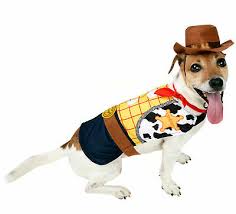 Your favorite animated toy franchise does it again. Toy Story Woody Dog Costume 4 Sizes To Choose Ebay