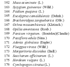 Image result for Adenia mossambicensis