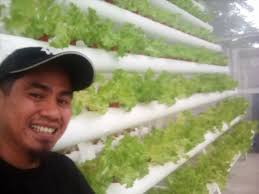 Hydroponics services in Perak