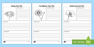 Maybe you would like to learn more about one of these? Flower Fact File Sheets For Children Primary Resources