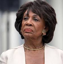 Maxine Waters has petitioned the UN to investigate Trump's ICE raids as  "ethnic cleansing" and a human rights violation… She says this could be  grounds for impeachment.