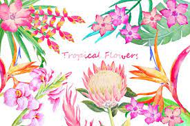 Hand Painted Watercolor Tropical Flowers And Leaves Digital Etsy Flower Illustration Tropical Flowers Tropical