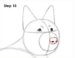 I wanted to try and make the eyes resemble the gs the best i knew how for a cartoon like drawing. How To Draw A Dog German Shepherd Video Step By Step Pictures