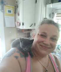 Cats, Coffee & Chaos