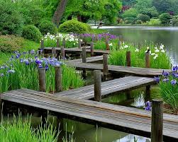 Water Irises And Boardwalk In A Japanese Garden By Greg Matchick Japanese Water Gardens Japanese Garden Japanese Garden Plants