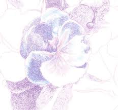If you're wanting to create flower drawings but you think you aren't good enough, then i will let you in on a little secret: How To Draw Complex Flowers Part 1 Carrie L Lewis Artist