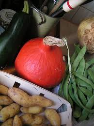 Photo De Legumes Bio Legume Bio Idee Legume Recette Gratuit