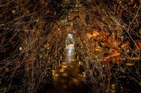 Learn which vegetables to grow in winter. Alto By San Carlo On Twitter Our Wonderful Winter Walkway The Good News Is Nicola Is Still Here On The Rooftop With A Warm Italian Welcome Saturday Winter Selfridges Oxfordstreetw1