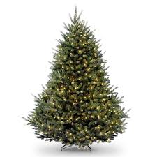 Maybe you would like to learn more about one of these? National Tree Company 7 1 2 Ft Natural Fraser Fir Hngd Tree With 1200 Clear Lights Naffh1 75lo S2 The Home Depot