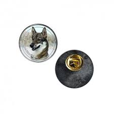 Image result for západosibiřská lajka