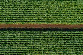 Image result for tbn:_Eia2TdEdDck4M::www.margasgolf.es/img/el_campo.jpg