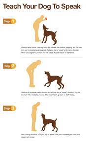 From playing dead to giving his paw to spinning, i could not wait until he had them all under his belt. Need Help With Issues Related To Dogs This Article Is For You For More Information Visit Image Link Dog Training Near Me Dog Training Obedience Dog Care