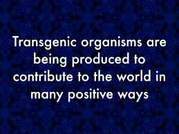 A transgenic organism is a type of genetically modified organism (gmo) that has genetic material from another species that provides a useful trait. Benefits Of Transgenic Organisms By Manning Webb